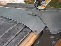 tullahemp 2790.JPG